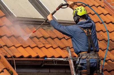 Démoussage et hydrofuge de toiture à Mesnil-Roc'h